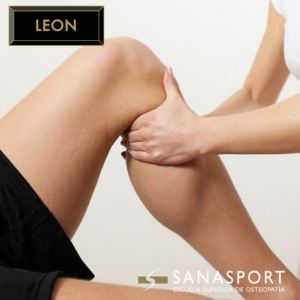 Osteopatía clásica y manipulación estructural. Abordaje del SNA