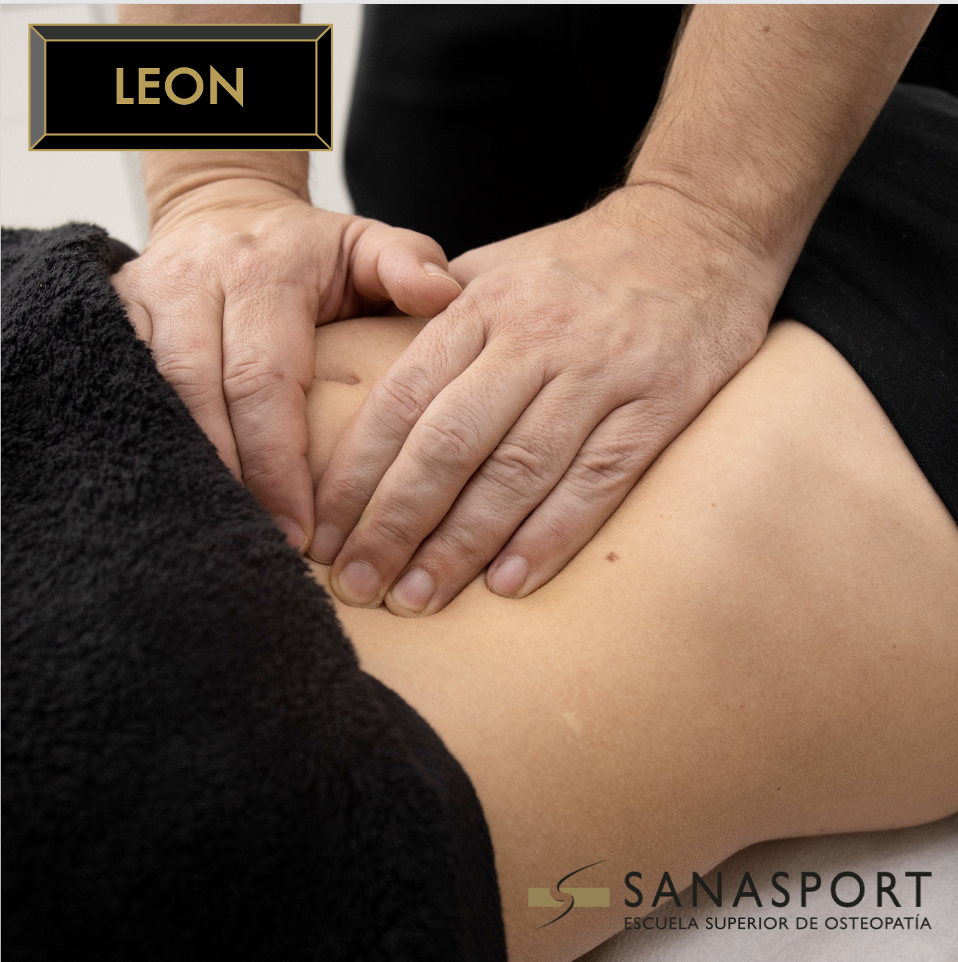 Manipulacion visceral; Abordaje del Sistema Gastrointestinal